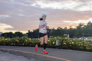 BIB: 
                            <button type="button" onclick="openModal(26555066)" class="btn btn-primary btn-sm float-right btn-popup" data-toggle="modal" data-target=".modal-high-quality">
                        <i class="fas fa-shopping-cart"></i> Add to Cart
                    </button>
                                            <button type="button" onclick="isThisMe(26555066, true)" class="btn btn-success btn-sm float-right btn-popup btn-isme hidden" data-toggle="tooltip" data-placement="bottom" title="นี่คือรูปของคุณใช่ไหม คลิกที่นี่เพื่อเอาเข้าอัลบั้ม">
                        <i class="fas fa-plus"></i> Add to album
                    </button>
                    <button type="button" onclick="isThisMe(26555066, false)" class="btn btn-warning btn-sm float-right btn-popup btn-isnotme hidden">
                        <i class="fas fa-ban"></i> Remove from album
                    </button>